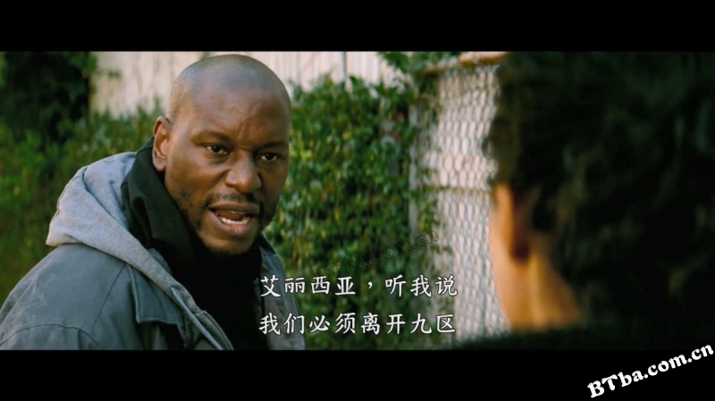 蓝与黑/Black and Blue