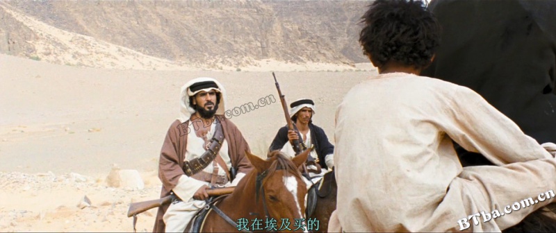 希布/沙漠小野狼(港)/特比