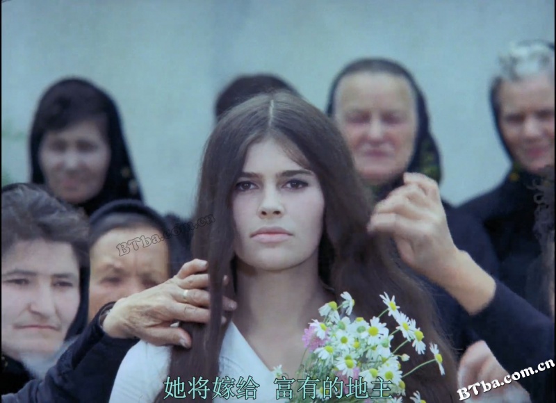 瓦莱莉和她的奇迹一周/Valerie and Her Week of Wonders
