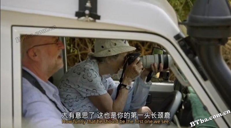 爱长颈鹿的女人/The Woman Who Loves Giraffes