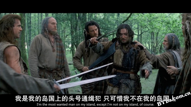 勇敢的心/惊世未了缘(港)/梅尔吉勃逊之英雄本色(台)/Braveheart