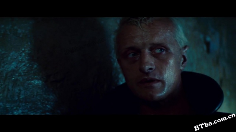 银翼杀手/公元2020/叛狱追杀令/Blade Runner