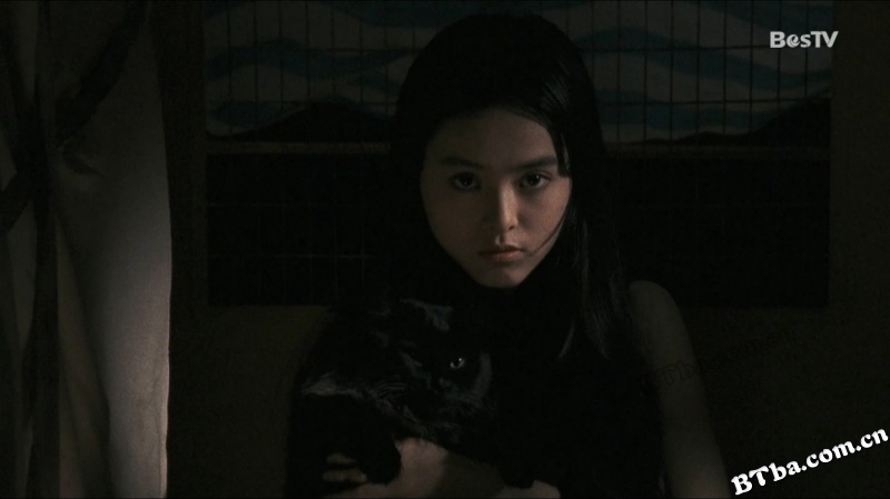 卫斯理之老猫/The Cat