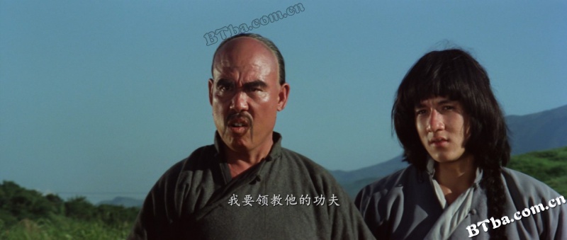 蛇鹤八步/Snake & Crane Arts of Shaolin