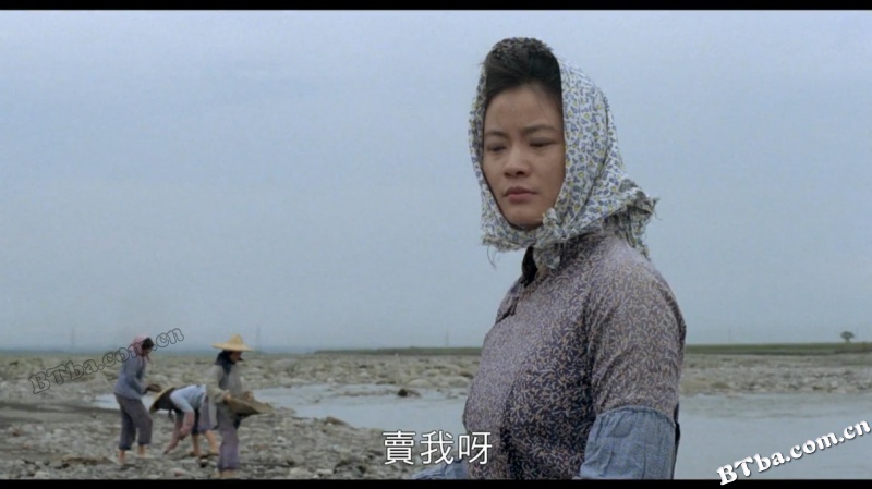 贩母案考/販母案考