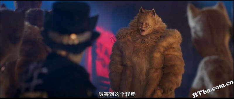 猫/妖猫传/Cats
