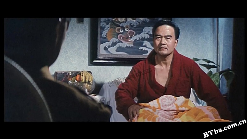 彭大将军/General Peng Dehuai