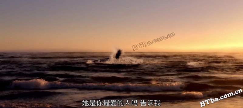 幽灵和鲸/The Ghost and the Whale