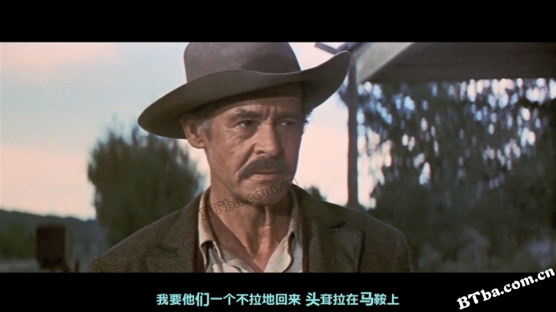 日落黄沙/流寇志(港)/一群狂人