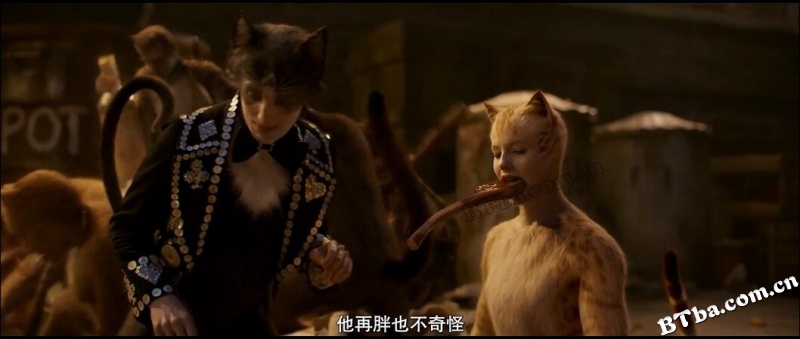 猫/妖猫传/Cats