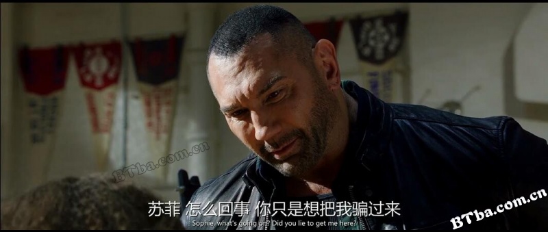 我的间谍/间谍速成班(台)/半职业特工队(港)/My Spy