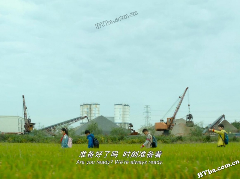 郊区的鸟/Suburban Birds