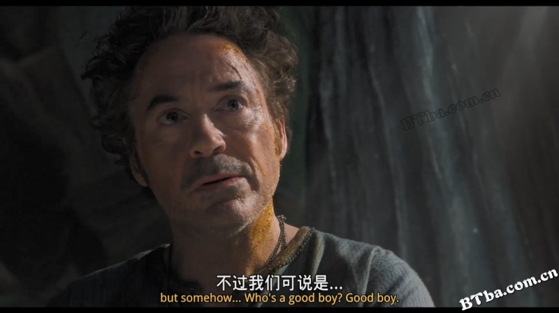 多力特的奇幻冒险/怪医杜立德/杜立德(台)/Dolittle