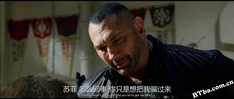 我的间谍/间谍速成班(台)/半职业特工队(港)/My Spy