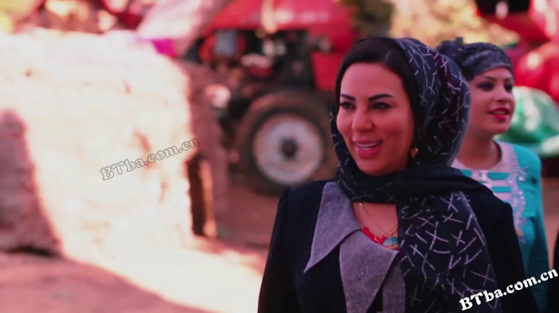 布鲁克斯，草地和可爱脸孔/Al-Maa Wal Khodra Wal Wagh Al-Hassan