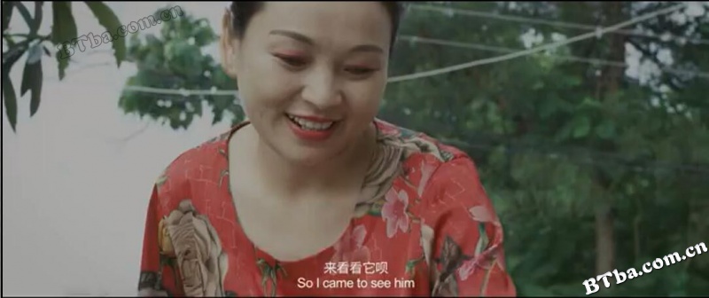 嘟嘟历险记