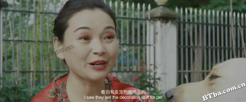 嘟嘟历险记