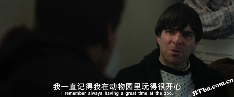 土豚/Aardvark