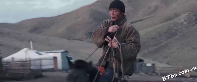 草原上的男孩/草原上的男孩儿/祖德/Zud