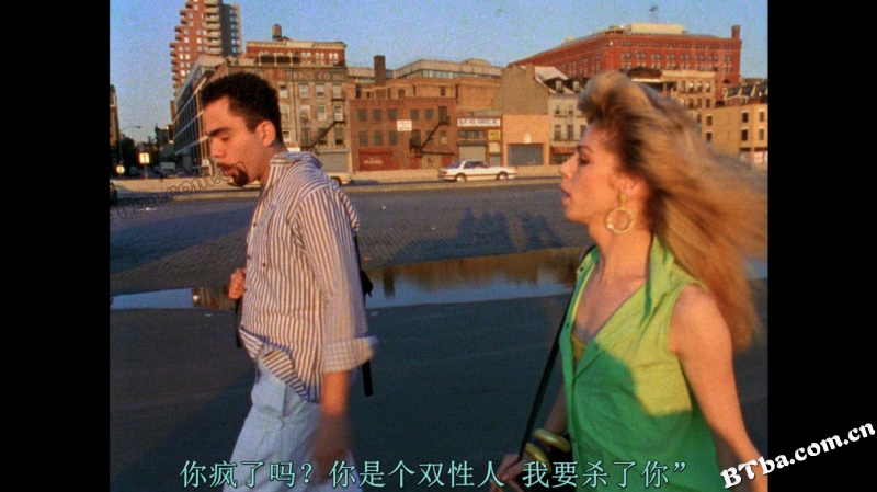 巴黎在燃烧/Paris Is Burning