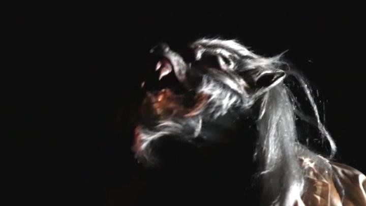 狼人的新娘/Bride of the Werewolf