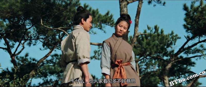 怪侠/The Magnificent Swordsman