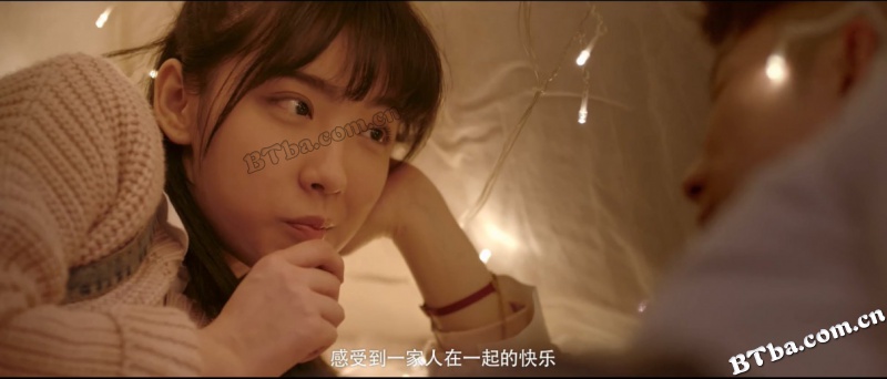阁楼房客是总裁
