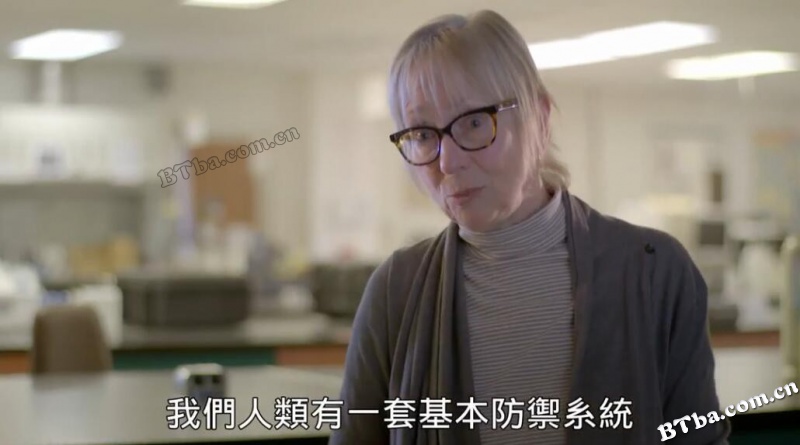 真菌如何造就世界/改变地球的真菌/The Kingdom: How Fungi Made Our World
