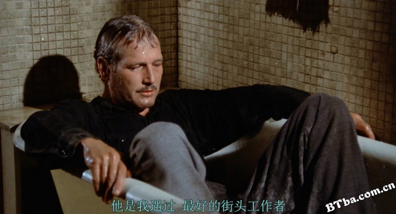 骗中骗/老千计状元才/刺激/The Sting