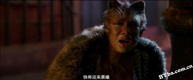 猫/妖猫传/Cats