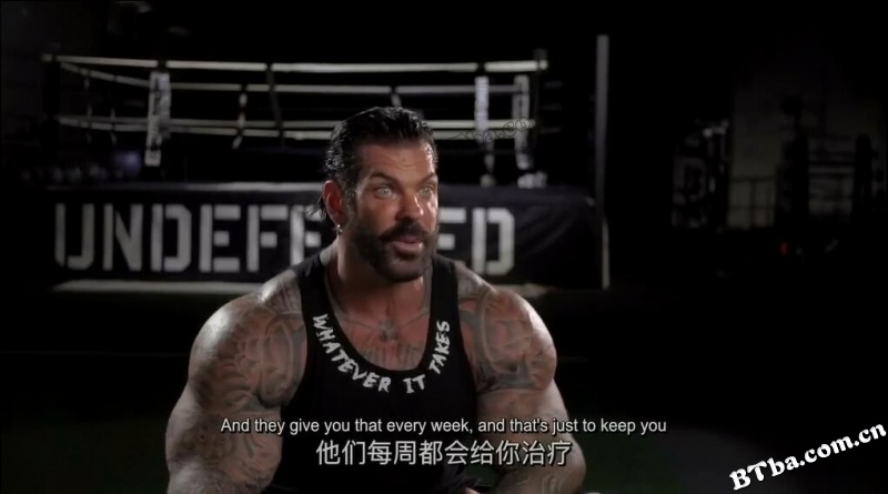 钢铁时代2/泵铁2/Generation Iron 2