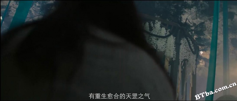 斗战苍穹