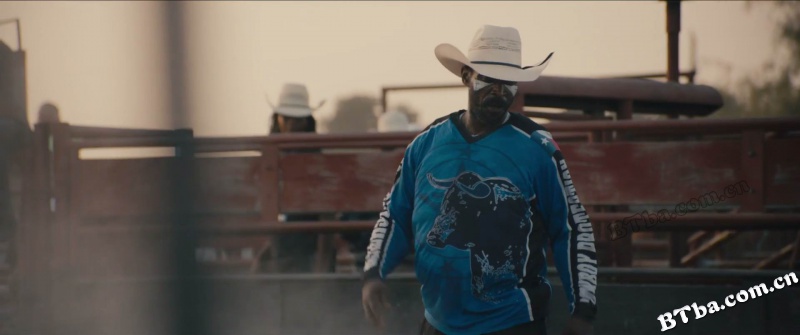 公牛犹斗/Bull