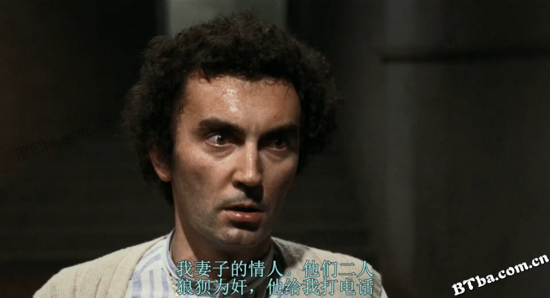 对一个不容怀疑的公民的调查/调查可疑者/查案记