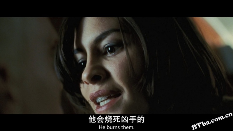 达·芬奇密码/达芬奇密码/达文西密码