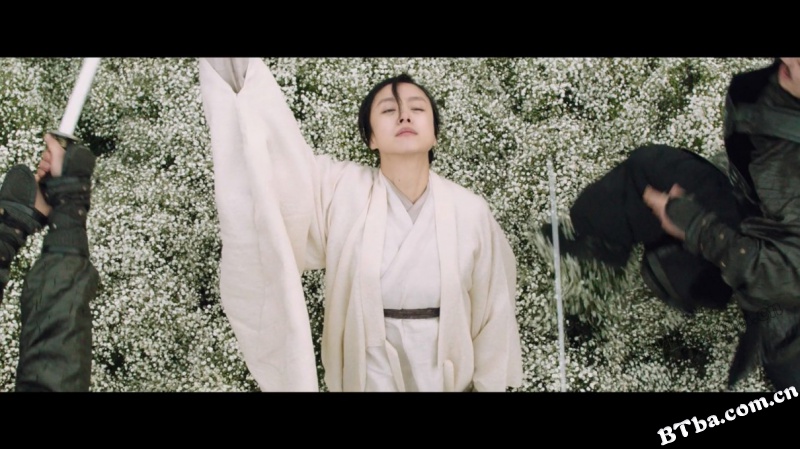 侠女：剑的记忆/侠女：刃之记忆/Memories of the Sword