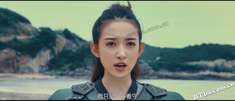 灵兽