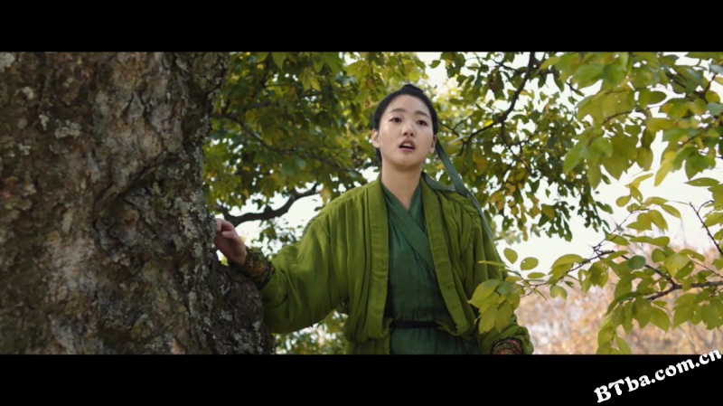 侠女：剑的记忆/侠女：刃之记忆/Memories of the Sword