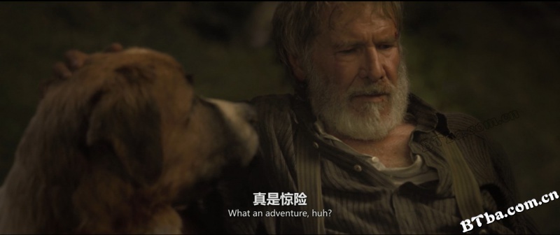 野性的呼唤/荒野的呼唤/极地守护犬(港/The Call of the Wild