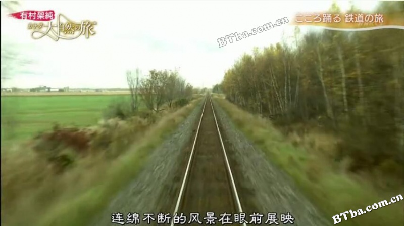 有村架纯 加拿大大自然之旅/有村架純 カナダ大自然の旅