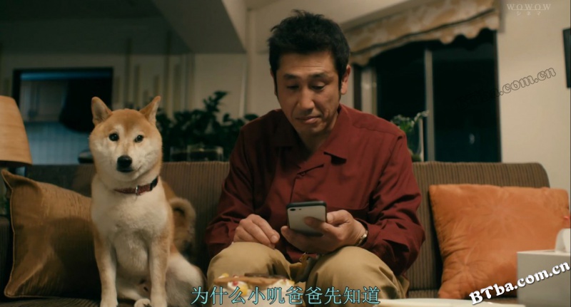 柴犬公园/柴公園