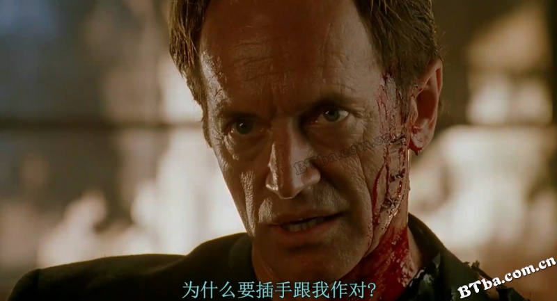 终极标靶