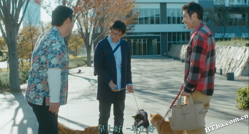 柴犬公园/柴公園
