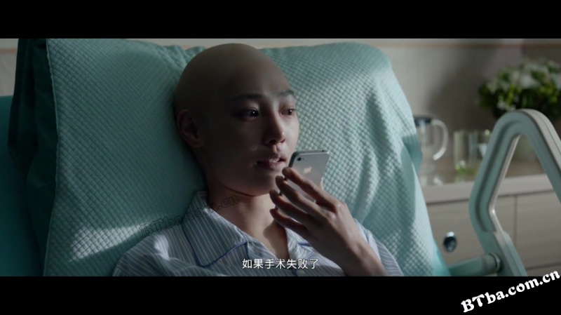 被偷走的那五年/被偷走的时光/The Stolen Years
