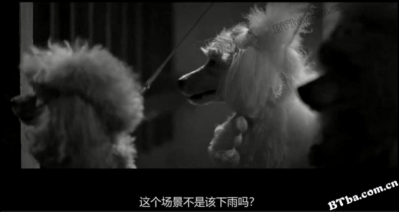 理查德·柯蒂斯