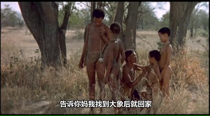 上帝也疯狂2/上帝也疯狂续集/上帝一定发疯了 (下)