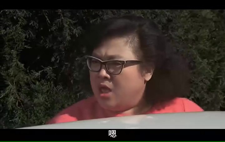 南北妈打/Mother Vs Mother