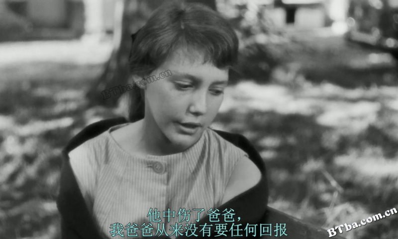 驴子巴特萨/巴尔塔扎尔的遭遇/Balthazar
