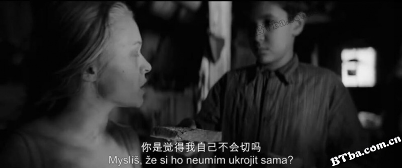 被涂污的鸟/Nabarvené ptáče