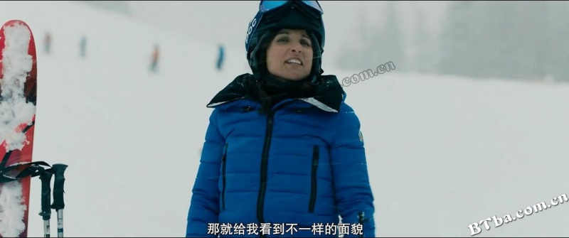 每况愈下/美版游客/婚姻大崩坏(台)/Downhill
